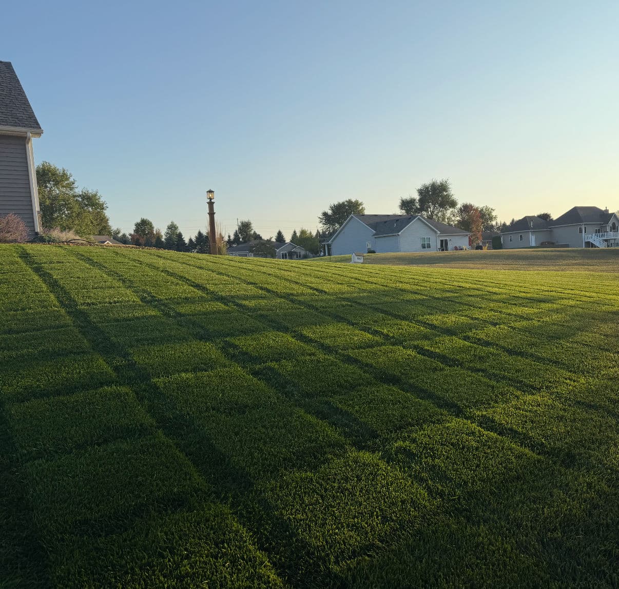 Lawn Transformation with Expert Fertilization