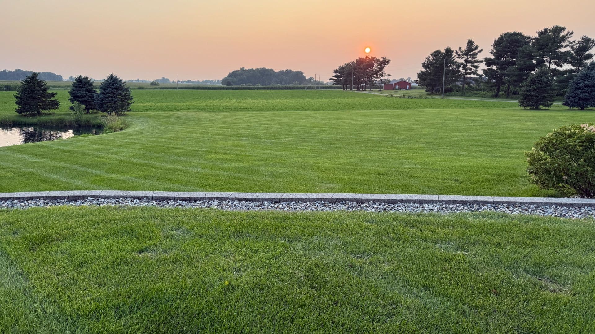 Lawn Transformation with Expert Fertilization