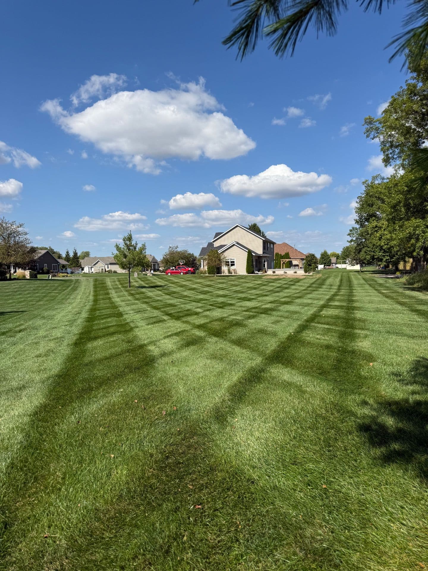 Lawn Transformation with Expert Fertilization