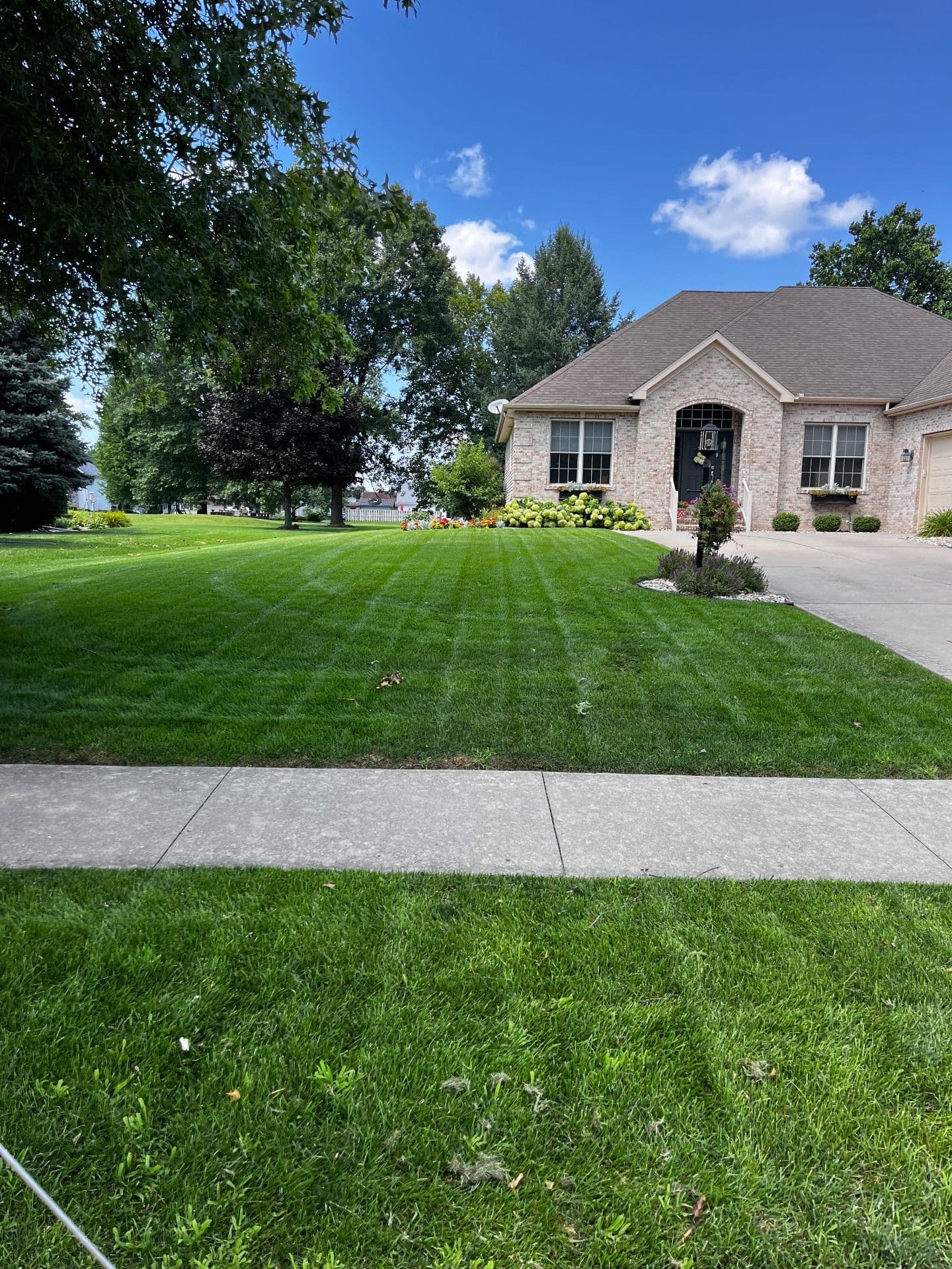Lawn Transformation with Expert Fertilization