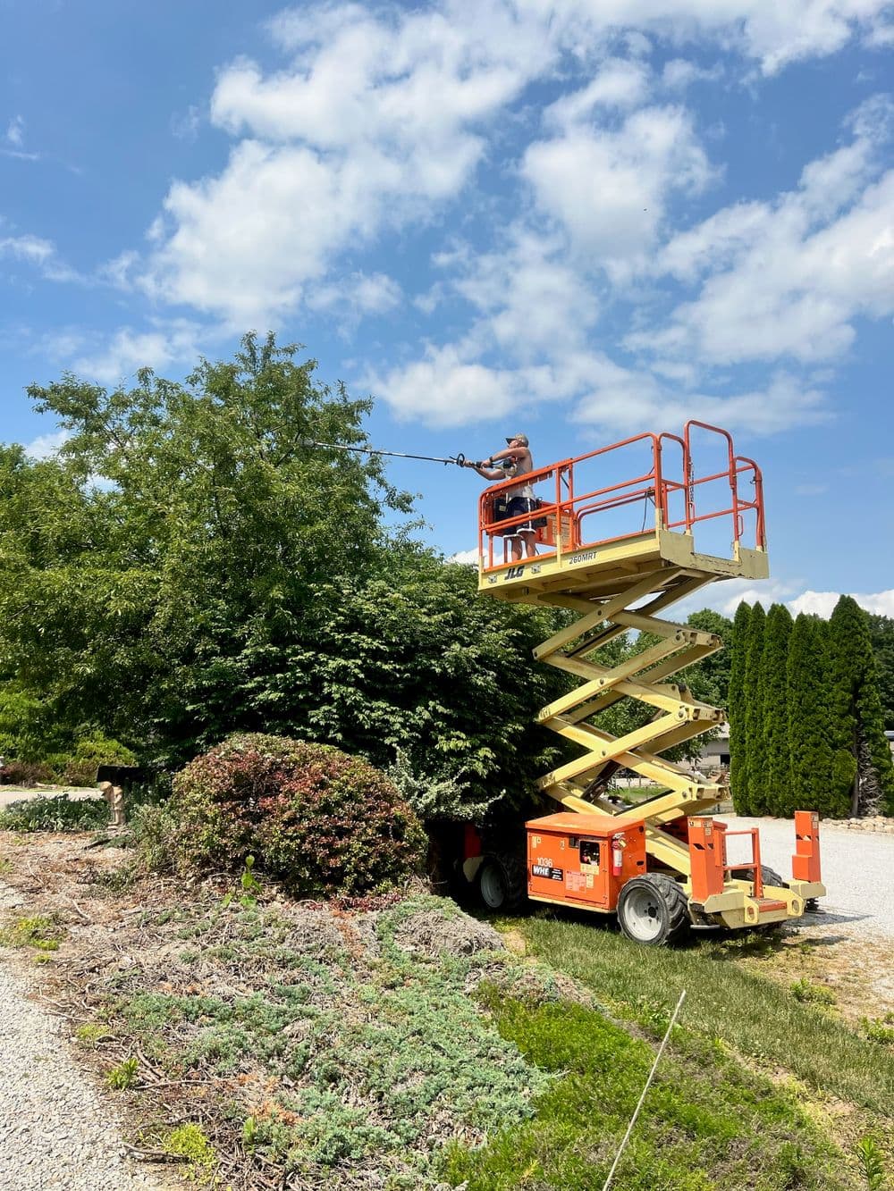 Worker pruning bushes using a cherry picker in a landscaped garden under a blue sky.