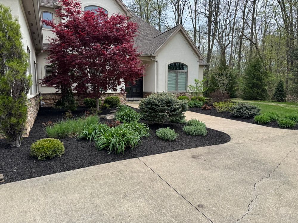 Beautiful landscaped home exterior with vibrant red maple, greenery, and a paved driveway.