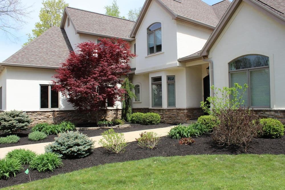 Modern house exterior with landscaped garden featuring trees and shrubs.