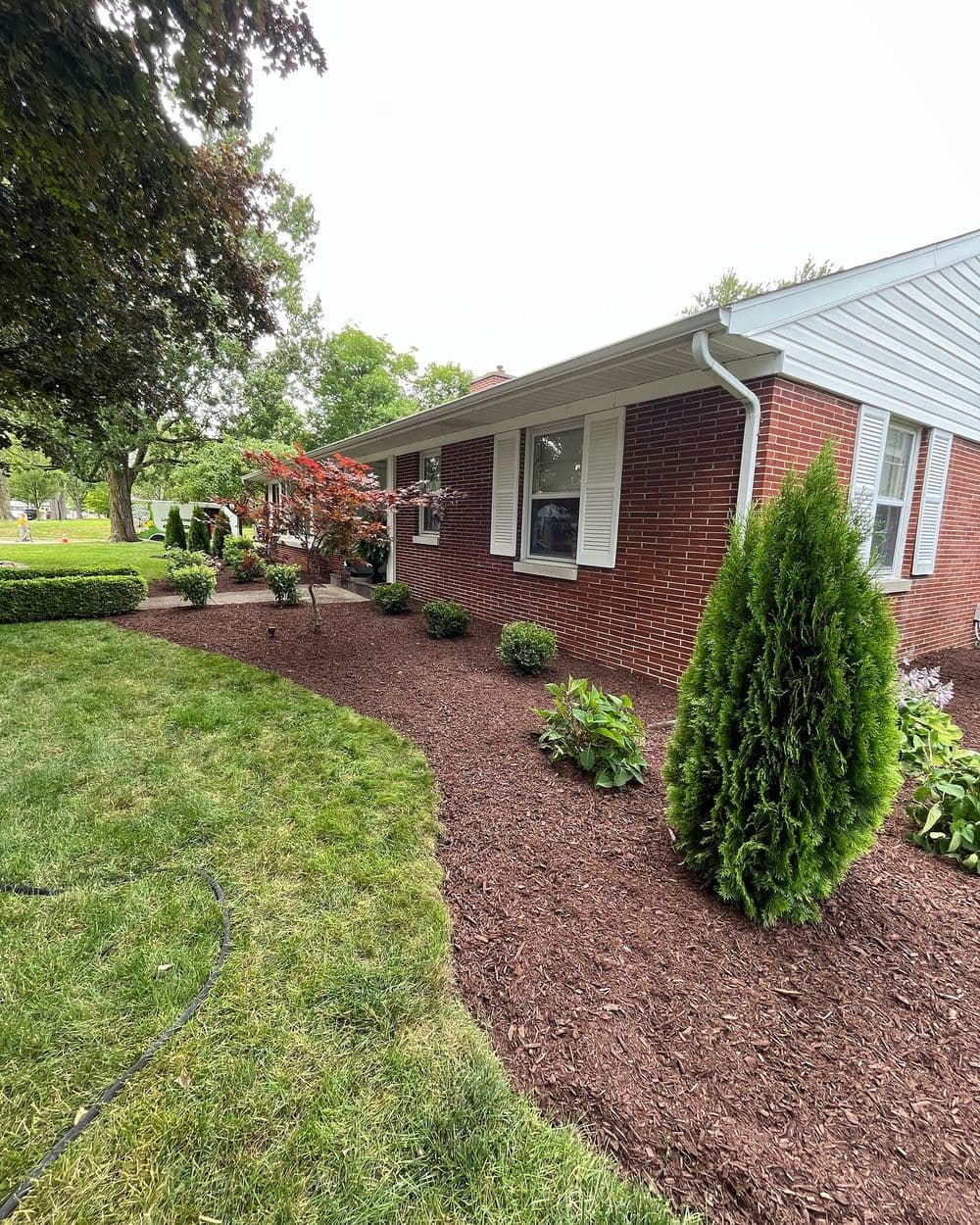 Lush landscaped yard featuring mulch, shrubs, and a brick house for curb appeal.