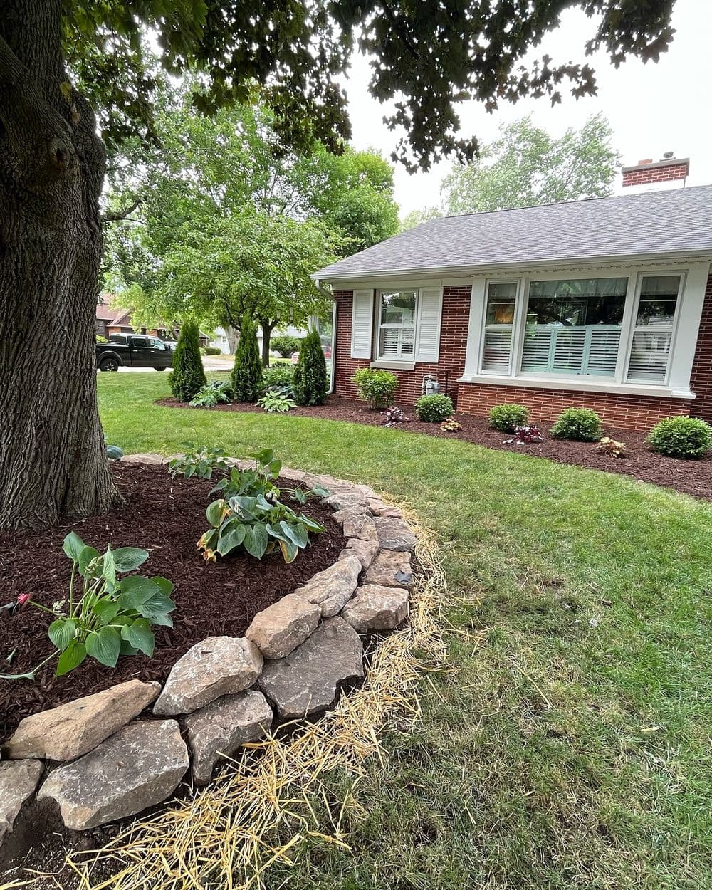 Beautiful landscaped yard with stone border, lush green plants, and fresh mulch near a brick house.